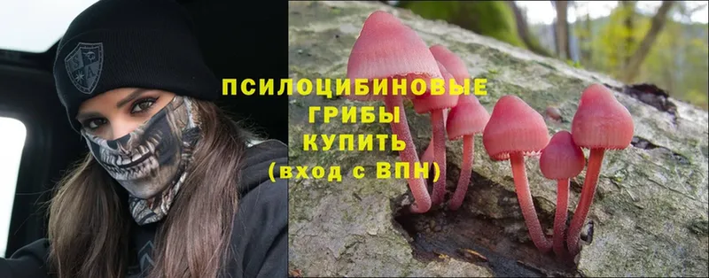 mega зеркало  Благодарный  Галлюциногенные грибы Magic Shrooms  где продают  